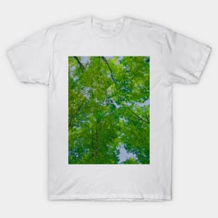 Smoky Mountains Tree Canopy T-Shirt